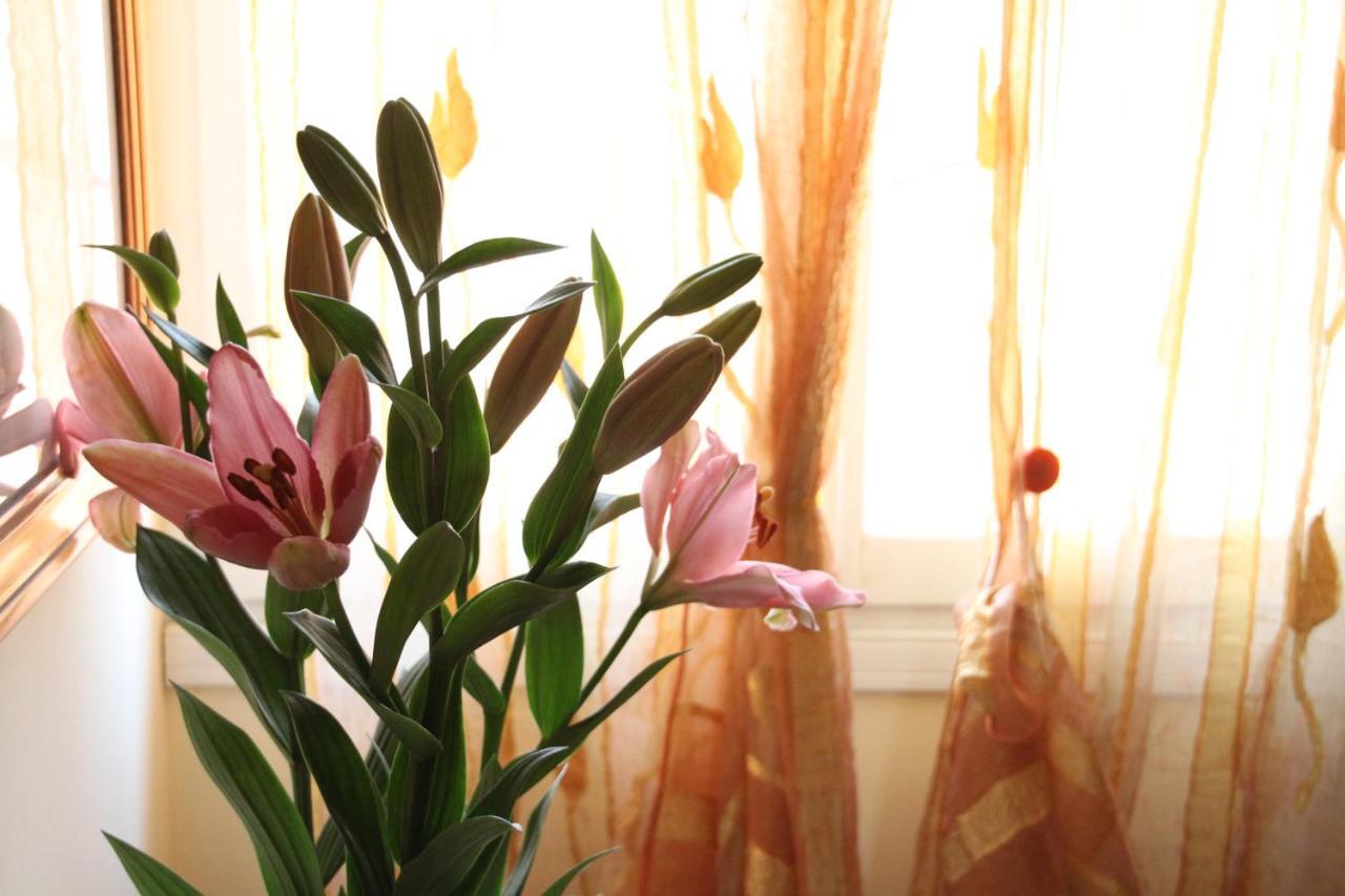 Residence Al Bacareto Mogliano Veneto Dış mekan fotoğraf